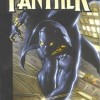 Black Panther (1-49) Review