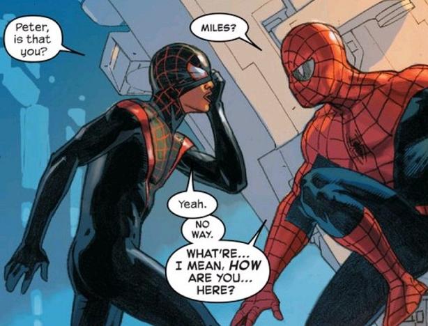 Spider-Man: Into the Spider-Verse Review! - Comic Book Herald