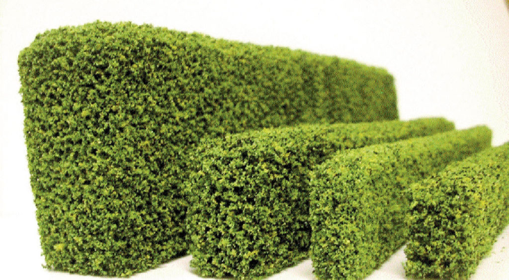 hedge