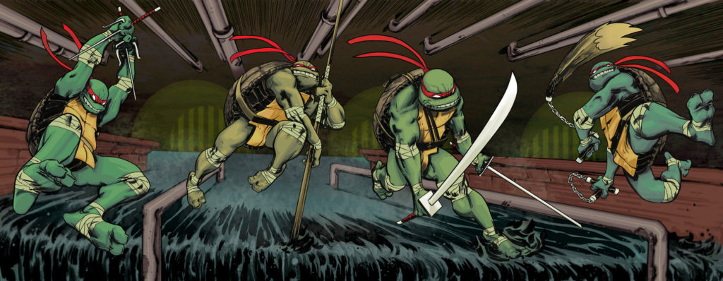 IDW ninja turtles comic books