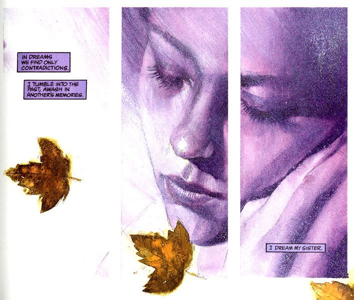 https://www.comicbookherald.com/wp-content/uploads/2018/09/black-orchid-gaiman-mckean.jpg