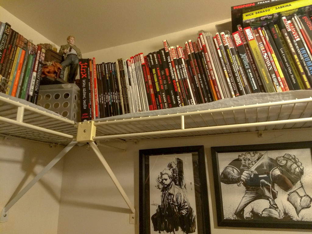 Comic Book Storage Ideas Fan Tips Solutions Examples